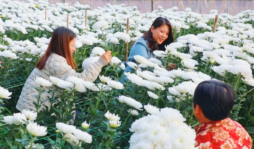 �F�ǅ^(q��)���ջ������M�ء���