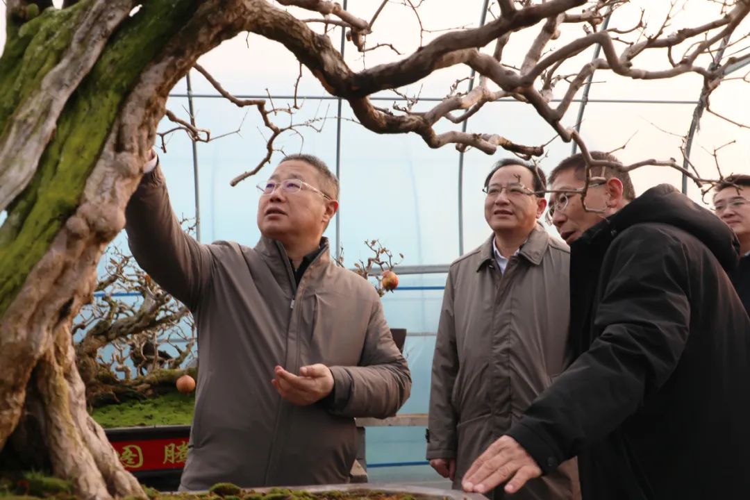 ���f��ί����ӛ������ί��ӛ�����ށ�F�ǅ^(q��)�{(di��o)��ʯ��a(ch��n)�I(y��)�l(f��)չ����